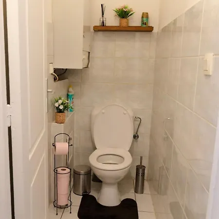 Duplex Cosy- Proche Centre شقة كولمار