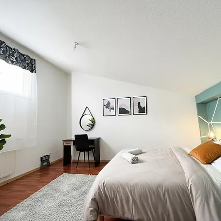 Appartement Duplex Cosy- Proche Centre Colmar