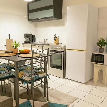 Appartement Duplex Cosy- Proche Centre Colmar